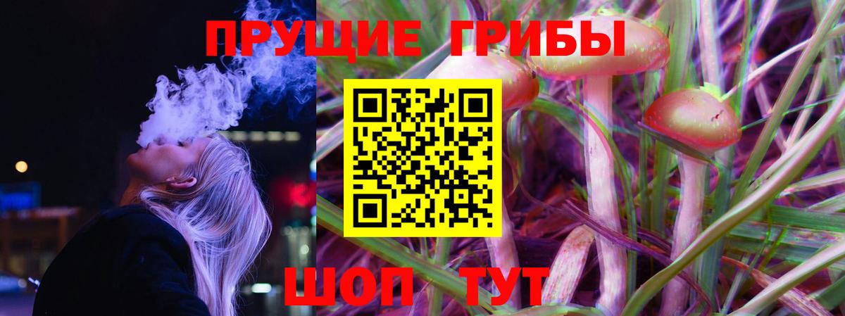 купить закладку  Псилоцибиновые грибы Cubensis  Павловский Посад  Вход с VPN  Псилоцибиновые грибы мицелий 
